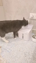 Source-Bowl-Feeder Drinker Fountain-Dispenser DOGS-FILTER Sensor Cats Automatic 3L Quiet