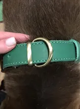 Leash-Set Lead Pet-Collars Dogs Pitbull Small Walking Real-Leather Personalized And 