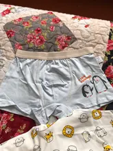 Ropa interior de algodón para niños, pantalones cortos de dibujos animados, bragas para bebés, bóxers a rayas, HH, 3 piezas
