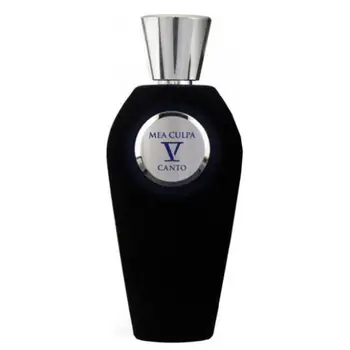 

V Canto Mea Culpa 100 ml EDP Unisex Tester Parfüm