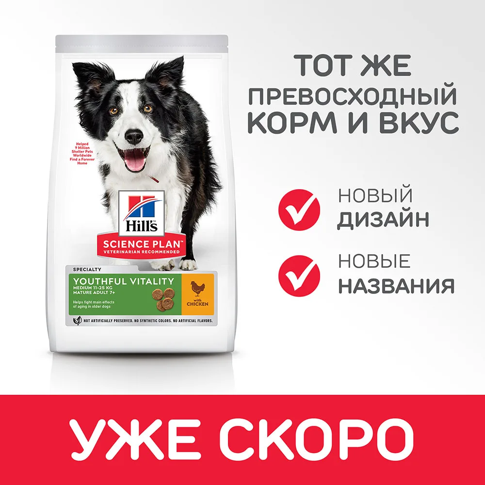 Hill's Science Plan Youthful Vitality сухой корм для собак средних пород старше 7 лет с курицей и рисом 10 кг