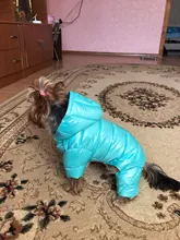 Coats Jumpsuits Overalls Yorkie-Clothing Puppy Dog-Jacket Pet-Dog Small Dogs Waterproof