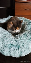 Cama supergrande para perro, esteras para gato, cojín para cachorro, estera para perro y gato