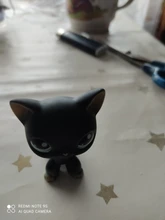 Colección de mascotas pequeñas, perro de juguete Original de alta calidad, modelo de muñeca móvil, regalo para chico