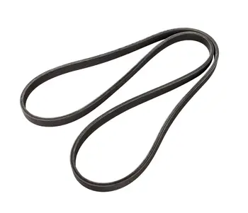 

Drive belt VP 30731809