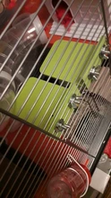 Rack Plate-Toys Hamster Squirrel-Cage Wooden Rectangle Colorful