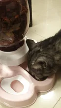 7 pocilga Gato tazón para comida de perro de tazones de alimentación 2 L perros de alimentación fuente de agua potable de 600ml Waterer gatito lento de cachorro