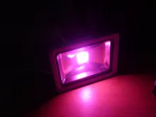 Phyto-Lamp Grow-Light Led-Chip Seedling No-Need-Driver Full-Spectrum 220V COB 110V AC