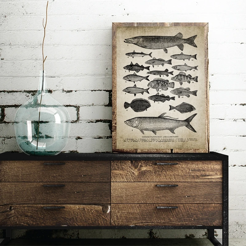 Freshwater Fish Illustration Poster Home Decor