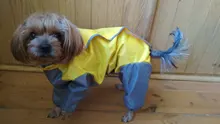 Mono impermeable para perro mascota, ropa impermeable para exteriores, mono con capucha para perros pequeños y grandes, capa impermeable, Bulldog francés