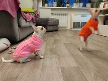 Dog Winter Sweater Knitted Chihuahua Puppy Small Medium Yorkshire for Pure-Dog Ropa-Perro