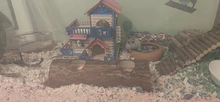 Hamster-House Wooden Pet-Hideout Guinea-Pig Small Animal Funny 