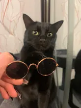 Productos para mascotas encantador redondo Vintage gato gafas de sol reflejo ojo gafas para perro pequeño gato accesorios fotos de mascotas accesorios