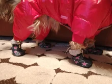 Puppy-Boots Pet-Shoes Lovely Dogs Snow Anti-Slip Zipper Winter Warm Denim Lets Casual