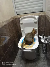 Cat Toilet Litter-Box Puppy-Cat-Litter-Mat Training-Kit Plastic 40--40--3.5cm