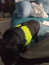 8 Size S-5XL Winter Dog Clothes For Pet Waterproof Warm Large Dog Vest Cat Puppy Dog