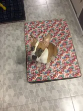 Cama grande para perro, colchoneta de espuma viscoelástica, transpirable, colchón ortopédico de fondo Oxford, para mascota mediana grande pequeña