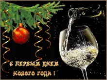 Puppy-Boots Pet-Shoes Lovely Dogs Snow Anti-Slip Zipper Winter Warm Denim Lets Casual