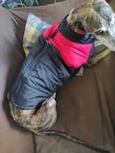 Ropa de perro grande invierno cálido mascota chaleco chaqueta impermeable perro abrigo ropa para perro grande Bulldog Golden Retriever ropa