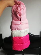 Outfit Jacket Hoodie Dog Warm Waterproof Winter Coat Splice Pet-Puppy 6-Colours 8-Sizes