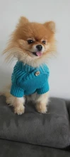 UFBemo Knitted Cable Dog Sweater Dachshund Cat Pull Chien Teckel Clothes Christmas Winter