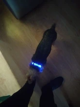 Glowing Collar Reflective Night-Safety Rechargeable Luminous Adjustable Nylon Waterproof