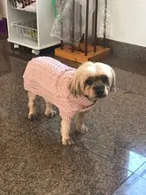 UFBemo Knitted Cable Dog Sweater Dachshund Cat Pull Chien Teckel Clothes Christmas Winter