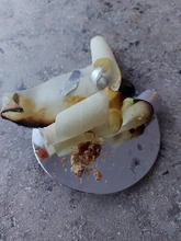 Hopi-limpiador de oídos, vela de oreja, removedor de cera, cuerno, bandeja para tapones para los oídos, aromaterapia redonda, fragancia de Candling de Indiana, 10 Uds.