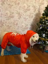 Jacket Rain-Coat Labrador Alaska Puppy-Doberman Waterproof Dogs Large Medium Husky TLC02