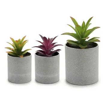 

Plant pot Ibergarden (9 x 13,5 x 9 cm)