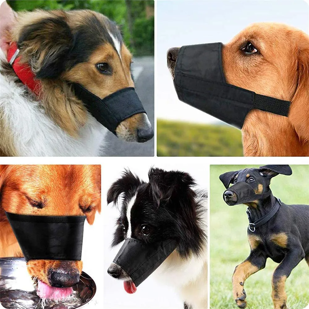 711r8urRNBL._AC_SL1001_