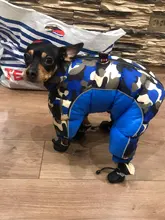 4 unidades/juego de zapatos de lluvia antideslizantes de Cachemira suave y cálida para mascotas, calzado suave a prueba de viento para perros y mascotas, zapatos impermeables antideslizantes