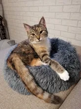Donut Macaron-cama de peluche de imitación para mascotas, cama suave para perro, gato de peluche, alfombrilla para perros grandes, casa de trabajo