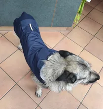 Impermeable para perro mascota impermeable perros grandes ropa de abrigo al aire libre chaqueta de lluvia reflectante Golden Retriever Labrador Husky gran poncho