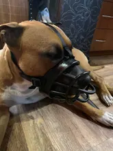 Bozal de silicona suave para perros pequeños, medianos, grandes y x-grandes, cesta transpirable, para mordeduras y ladridos