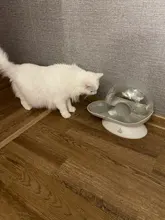 Water-Bowl Fountain Snails Pets-Water-Dispenser Bubble Cat Drink Automatic Large 