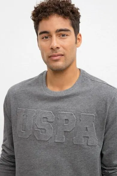 U.S. POLO ASSN. Серый Обычная Толстовка