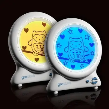 

THE COMPANY GRO Ollie GroClock