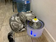 Fuente de agua automática para gatos y perros, alimentador para beber con filtro de carbón activo, tazón de bebida, dispensador eléctrico para gatos con alimentación USB fonte de agua para gato bebederos para perros