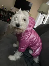Ropa de invierno para perros pequeños, abrigo cálido para cachorros, chaqueta impermeable con capucha, monos para Chihuahua y Yorkie