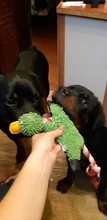 Perro de juguete duradera lindo papá pato haciendo sonido perro de peluche juguetes masticables para cachorros formación juguetes para la dentición para pequeños perros mediano