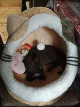 Cama de Gato para interior, casa de gatito, animales cálidos, pequeños para gatos, perros, nido plegable, alfombras para dormir, productos de invierno