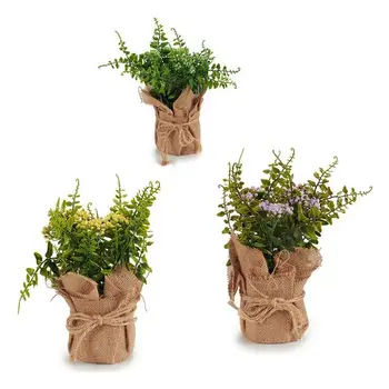 

Decorative Plant Ibergarden Plastic (13 x 23 x 13 cm)