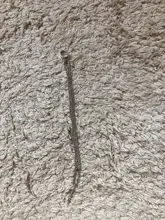 1 Uds moda europea Metal largo cadenas borla pendiente de oro/Color plata para las mujeres moda oreja manguito Clip de oreja de Brincos