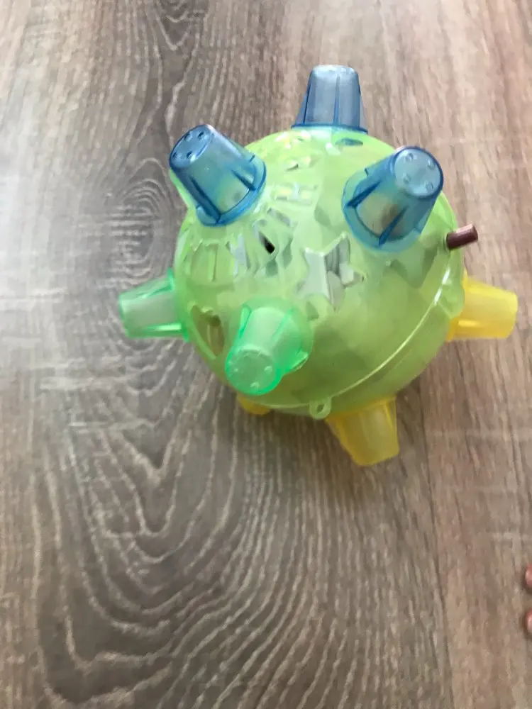 milo activation animal ball