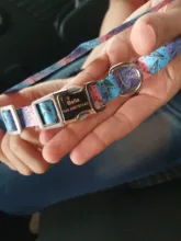 Dog-Collar Engraved Puppy-Name Floral Pet Personalized Airuidog Free Small Large Medium