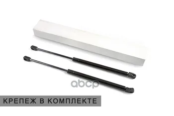 

Hood pads for GAZ Gazelle next 2013-, 2 pcs. Arbori art. Afhdgazne132