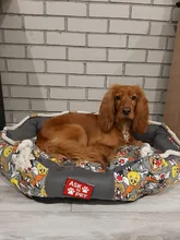 Thicken Dog Kennel Pet Bed For Dogs Cat House Dog Beds For Large Dogs Pets Products For