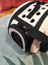 Necklace Collier Reflective-Collar Dogs Pitbull Chien Padded Nylon Adjustable Outdoor