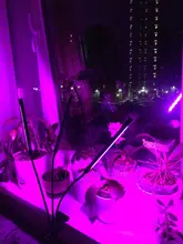 Grow-Light Lamps Timer Flowers Desktop-Clip LED Phyto Full-Spectrum For Plants DC5V USB